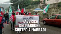 Fabbrica dei marroni, corteo a Marradi