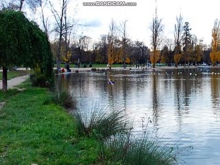 Leo's RC Simulator #3