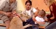 The terrifying moment a lion attacks a child on a live television program