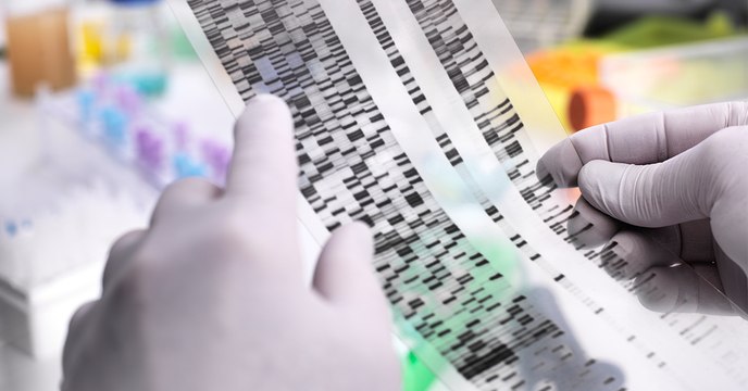 Researchers Hope To Learn More About The Spread Of A Serious Disease By Studying This Mummy