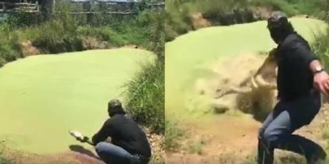 He Approached This Pond And Was Almost Devoured By A Huge Creature