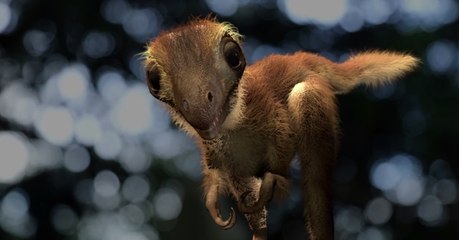 We Finally Know What A Baby T-Rex Really Looked Like