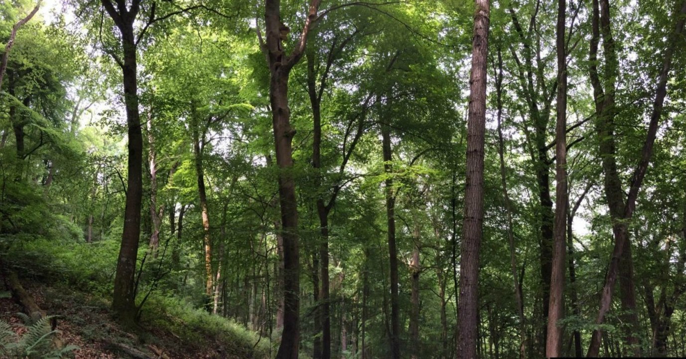 Theresa May Has Just Signed Off A New £500 Million Environment Project