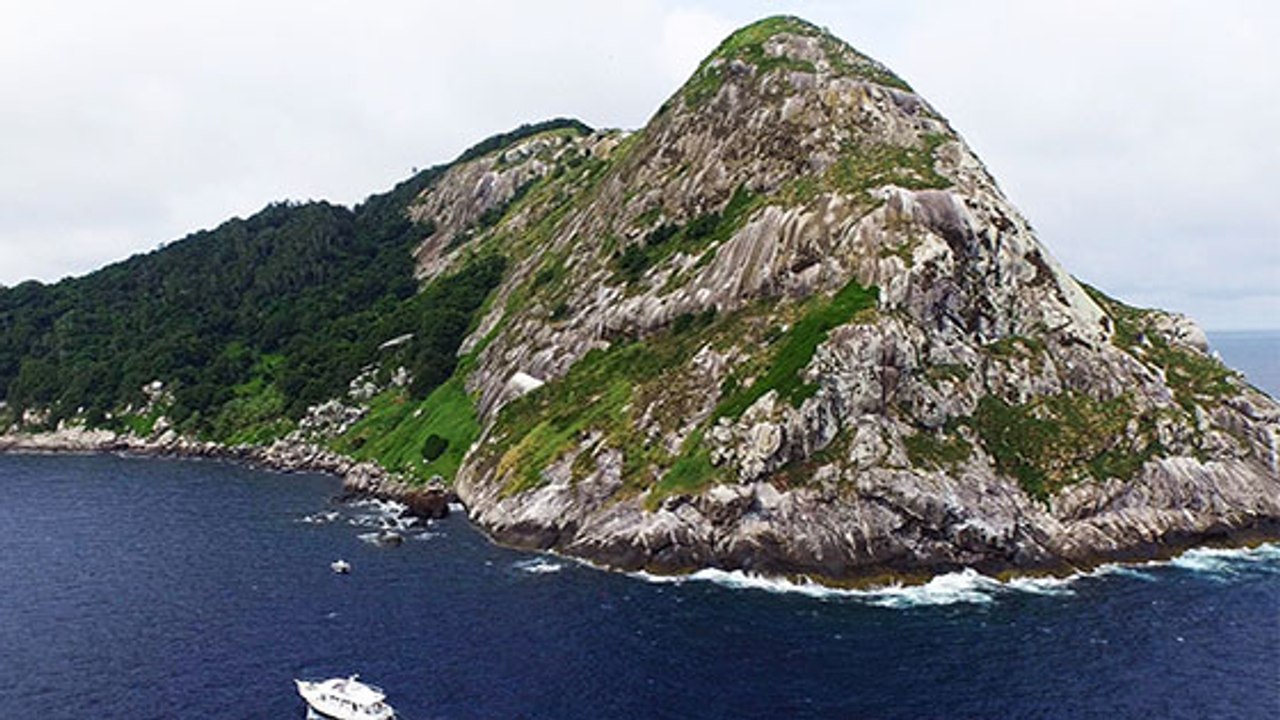 This Brazilian Island Is Home To 4,000 Extremely Dangerous Snakes!