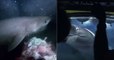 Footage Shows Sharks Attacking BBC Submarine Whilst Filming Blue Planet II