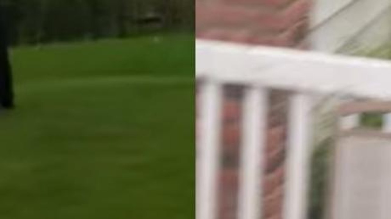 After Hearing Noises, This Woman Was Horrified To See Two Enormous Predators Fighting In Her Garden