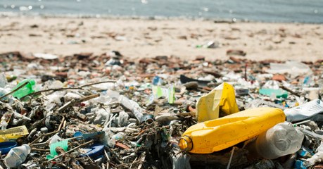 3 Single-Use Plastic Products Become ILLEGAL Next Year
