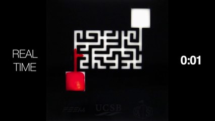Mind-Blowing Effect Allows Soap To Find The Quickest Way Out Of A Maze (WATCH)