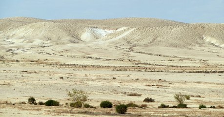 The Incredible Moment A River Sprang Up From This Desert