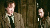 This Heartbreaking Sirius And Lupin Theory Could Change Everything For Harry Potter Fans