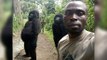 Gorillas Caught Acting Like Humans In This Hilarious Photo!