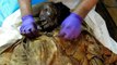 They Found This Mysterious 19th Century Mummy In New York... Now It's Revealing Its Secrets