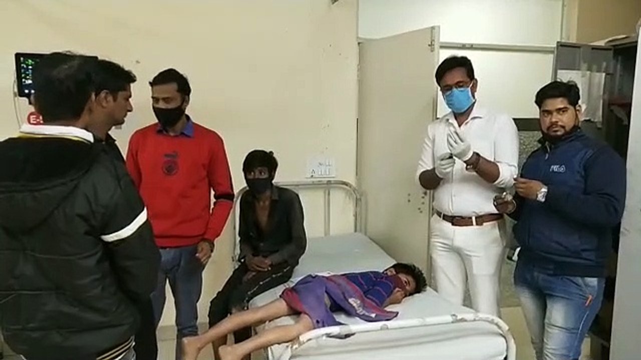 चूरू में श्वान का आतंक आधा दर्जन को काटा