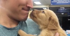 What This Puppy Does To His New Owner Will Melt Your Heart