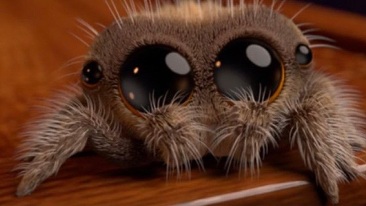 If You're Afraid Of Spiders, You Should Probably Avoid Wearing This Colour