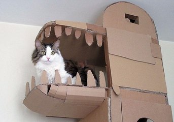 This Man Is So Obsessed With His Cat He Built It A Full-Blown Castle!