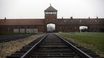 The Auschwitz Memorial Is Calling Out Instagrammers For Taking This Disrespectful Selfie