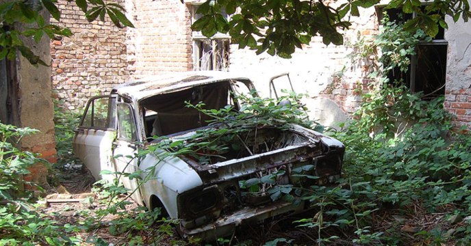 They Couldn't Believe Their Eyes When They Found This In An Abandoned Car Wreck