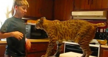 He Saved A Lynx From A Forest Fire. When He Took It Home, They Shared A Moving Moment.