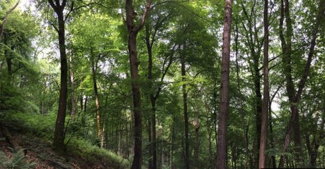 Theresa May Has Just Signed Off A New £500 Million Environment Project