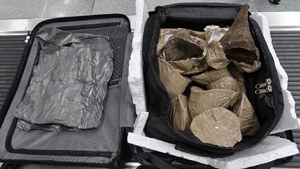 Customs Police At Hong Kong Airport Couldn't Believe What They Found In This Passenger's Suitcase
