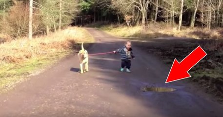 This Dog's Reaction When The Little Boy Wants To Jump In A Puddle Will Melt Your Heart