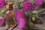 The Benefits Of Using Burdock For Skin, Acne, And Hair