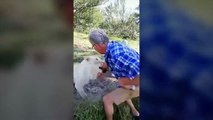 This Man Tried To Pet A Lion And Regretted It Almost Instantaneously