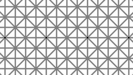 How Many Black Dots Do You See In This Picture? You're Almost Certainly Wrong!