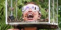 I'm A Celeb's Most Terrifying Bushtucker Trials To Date