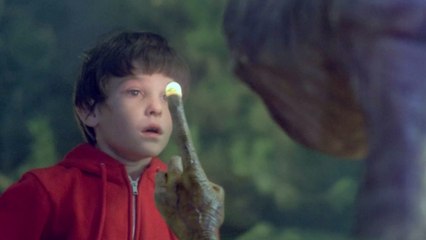 The cats of ET is all grown up, this is what they look like now