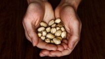 11 reasons eating pistachios every day is good for your health