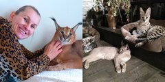 Meet The Wild Cat Fanatic Who Shares Her Home With 14 Exotic Felines