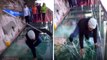 Nightmare Comes True: Glass Bridge In China Breaks While Tourists Panic