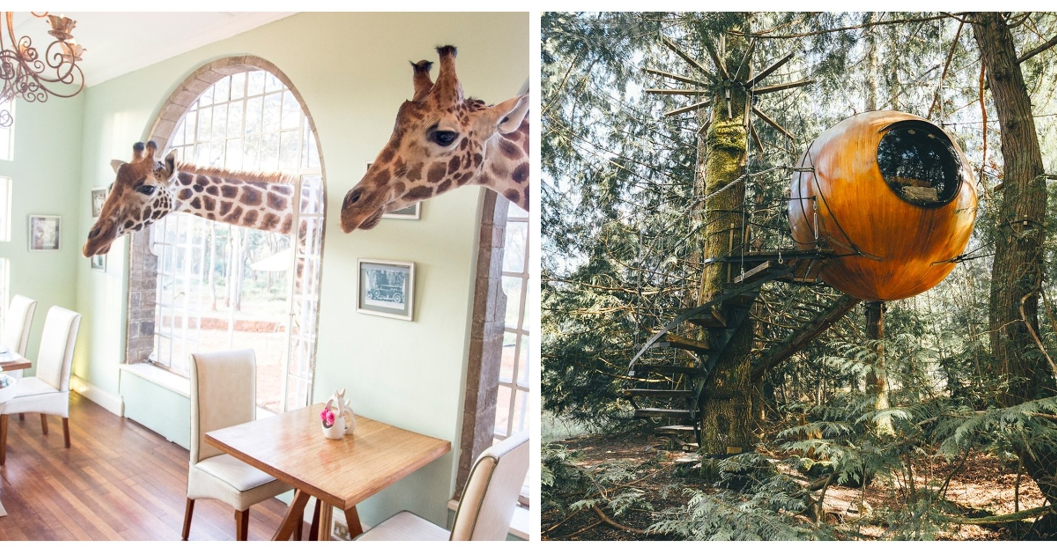 ⁣From Giraffes To Ice Castles - Welcome To The World's Most Unusual Hotels
