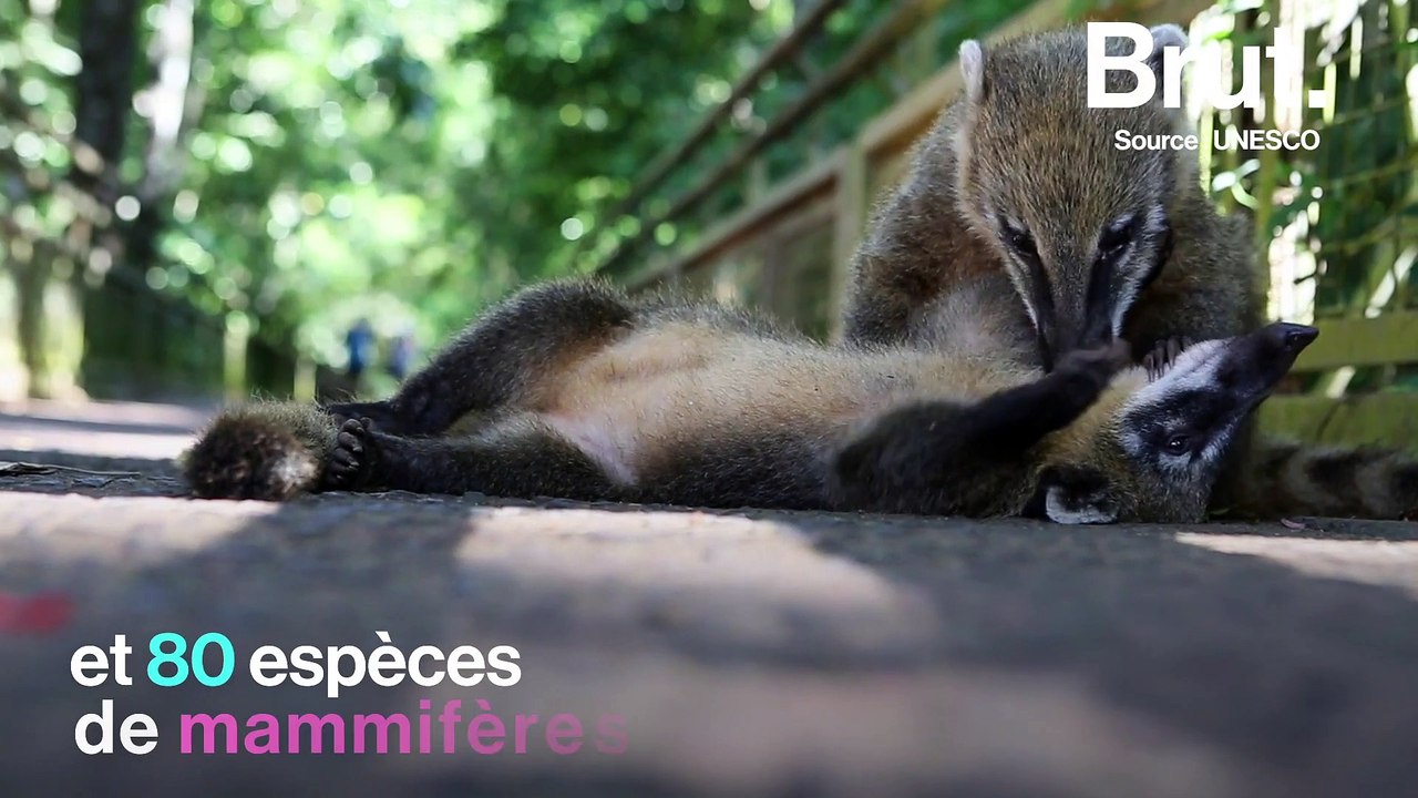 3 des plus belles chutes d'eau au monde