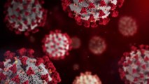 7 new coronavirus variants in the USA have scientists worried about their infectiousness
