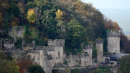 I'm a Celeb fans worried that a major part of the show may be axed