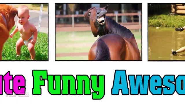 Video Lucu Bikin Ngakak Terbaru - Tahan tawa 8 Menit bikin sakit perut - Orang lucu _ Funny Videos