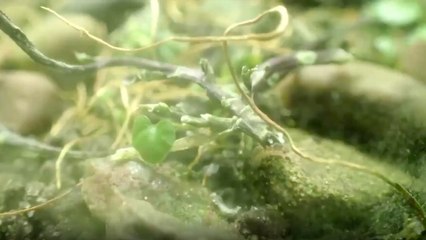 Here's What Happens When You Leave Bugs in a Terrarium for More Than 12 Years