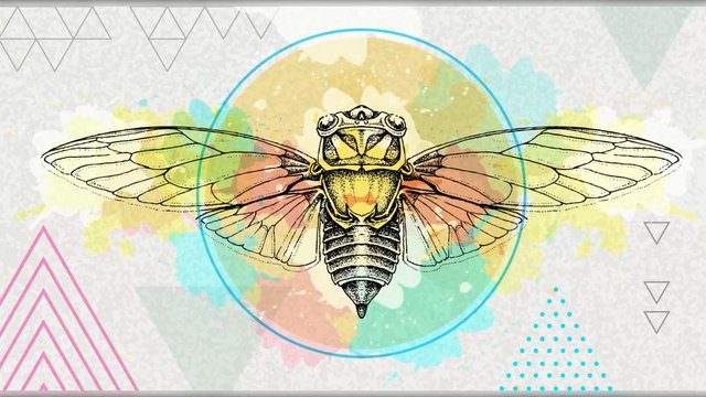 Americans are bracing for Brood X, the largest cicada invasion in 17 years