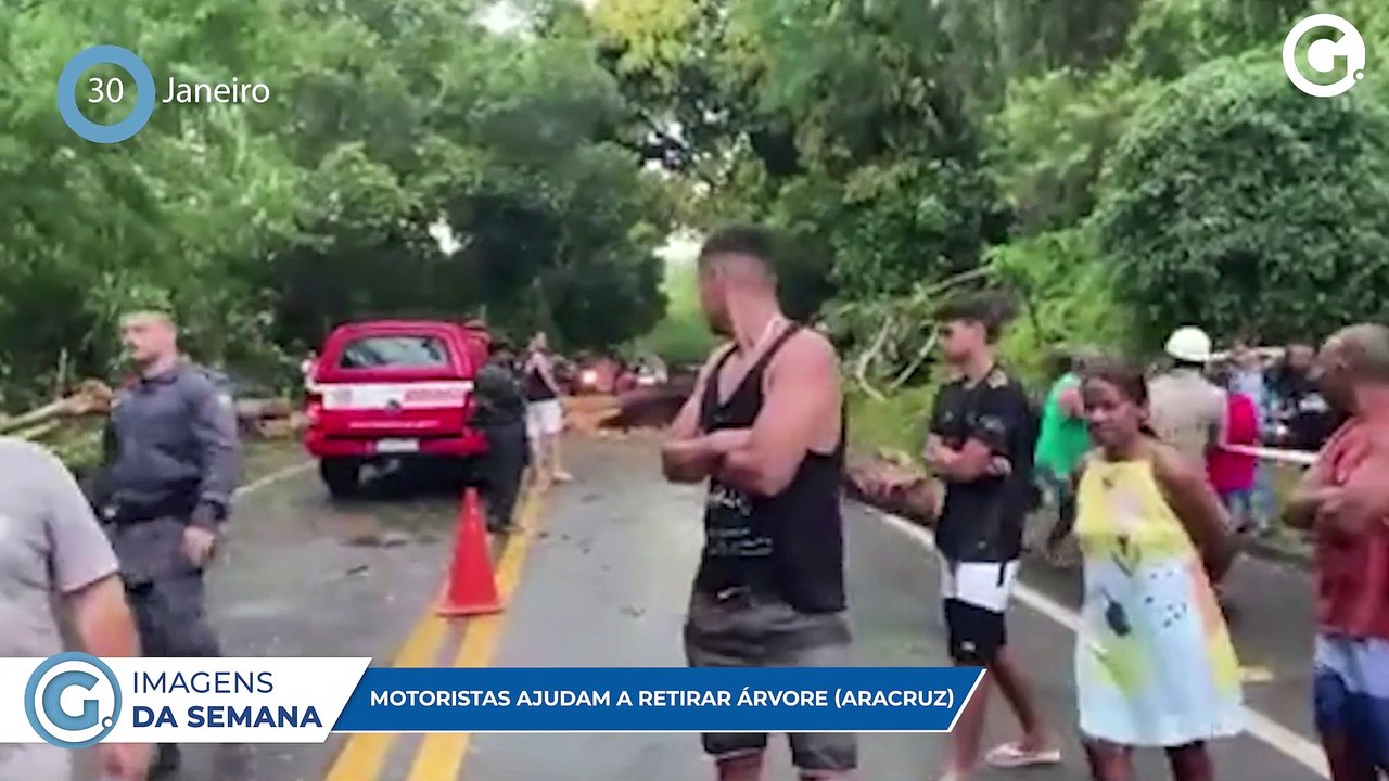 VIDEOS DA SEMANA DE 29 DE JANEIRO A 04 DE FEVEREIRO
