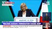 Marine Le Pen: "C'est aux Français de décider qui peuple la France"