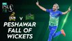 Peshawar Zalmi Fall Of Wickets | Peshawar Zalmi vs Multan Sultans | Match 13 | HBL PSL 7 | ML2G