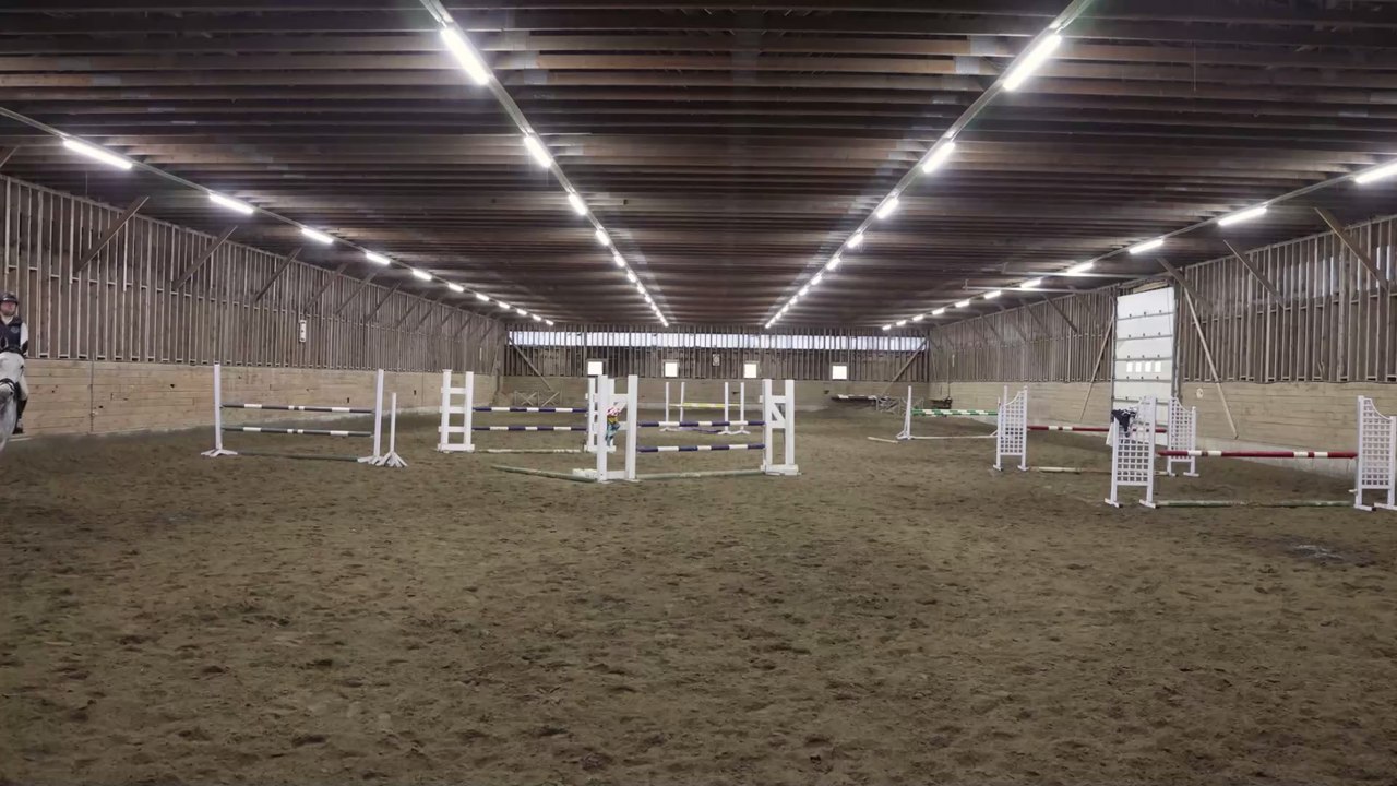Coach caught abusing horse during Olympic showjumping event