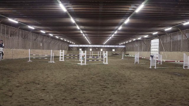 Coach caught abusing horse during Olympic showjumping event