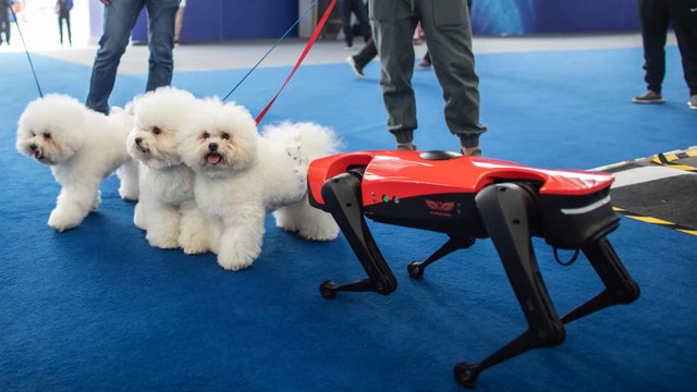 Meet Alphadog, the world's fastest Chinese robodog