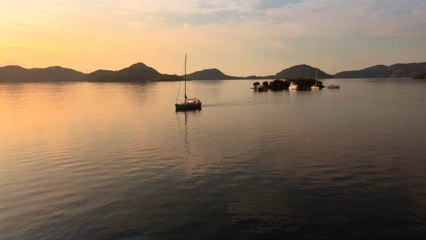 Two men lost at sea for almost a month describe the experience as ‘a nice break from reality'