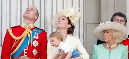 This Is The One Bad Habit Prince Louis Has Picked Up From His Uncle Prince Harry