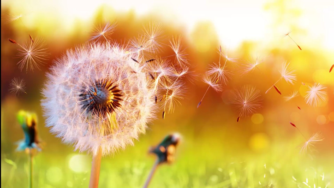 How to tell if your regular allergies are actually COVID symptoms